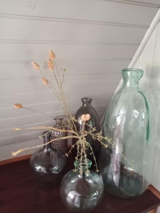 Micro Maison Isba Sedan Givonne Zewnętrze zdjęcie